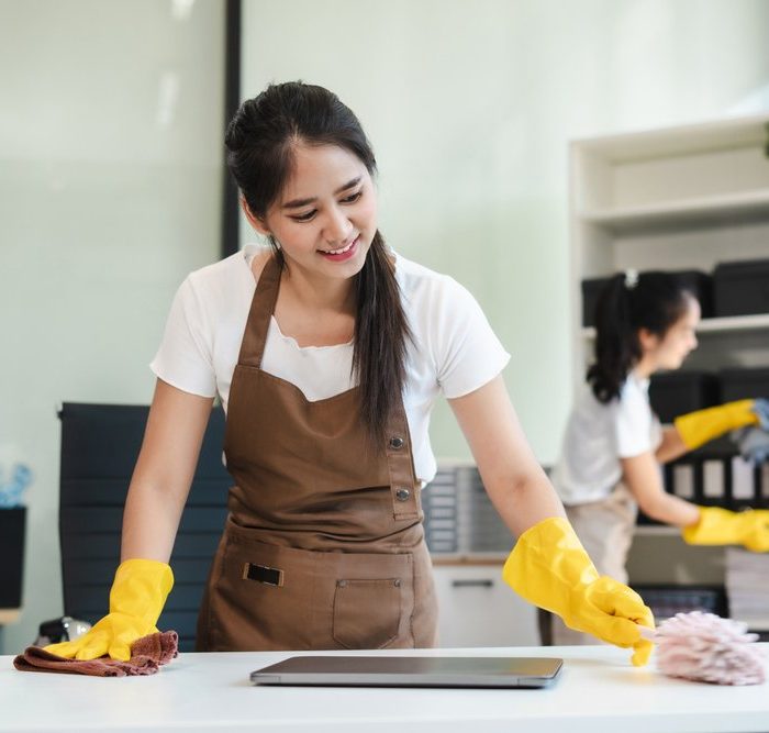 What Is the Real Difference Between Professional Cleaning and Standard Cleaning cover