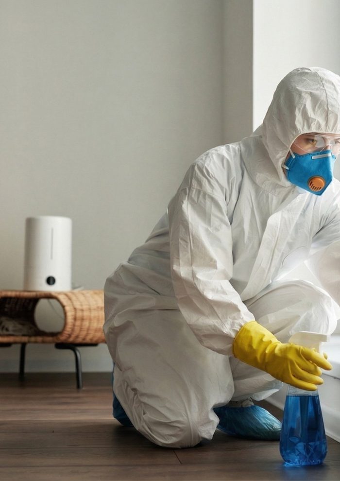 Professional cleaner providing quality disinfecting services in a home.